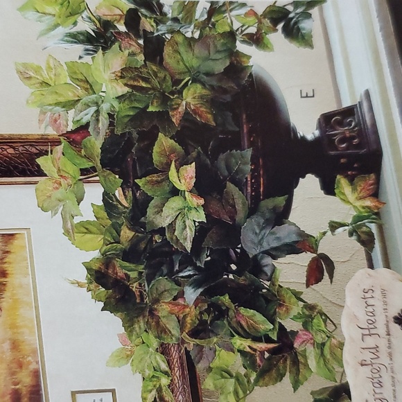 All Season Grape Ivy bush NEW goes w/everything Home Interiors - Picture 11 of 13